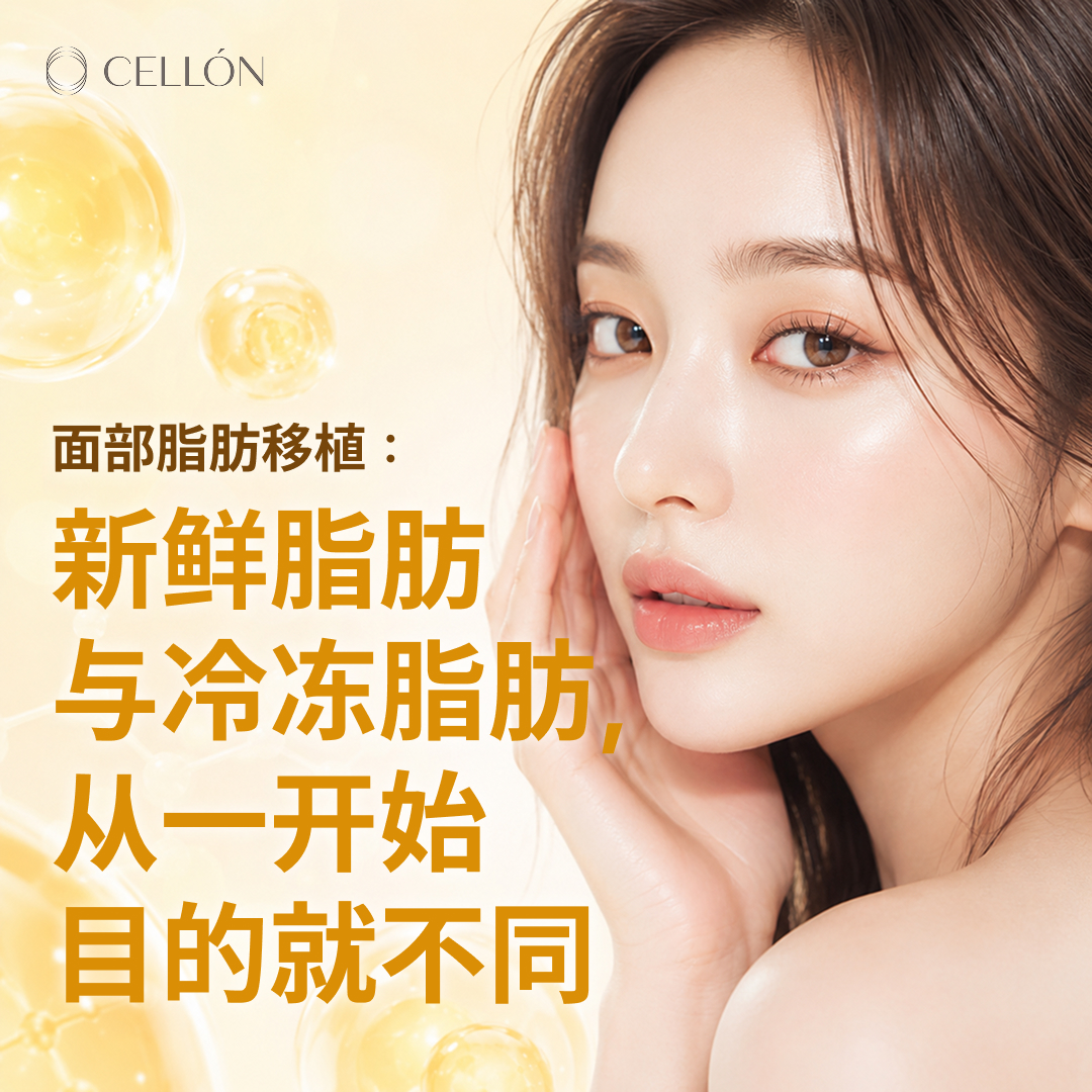 中文 발행 이미지