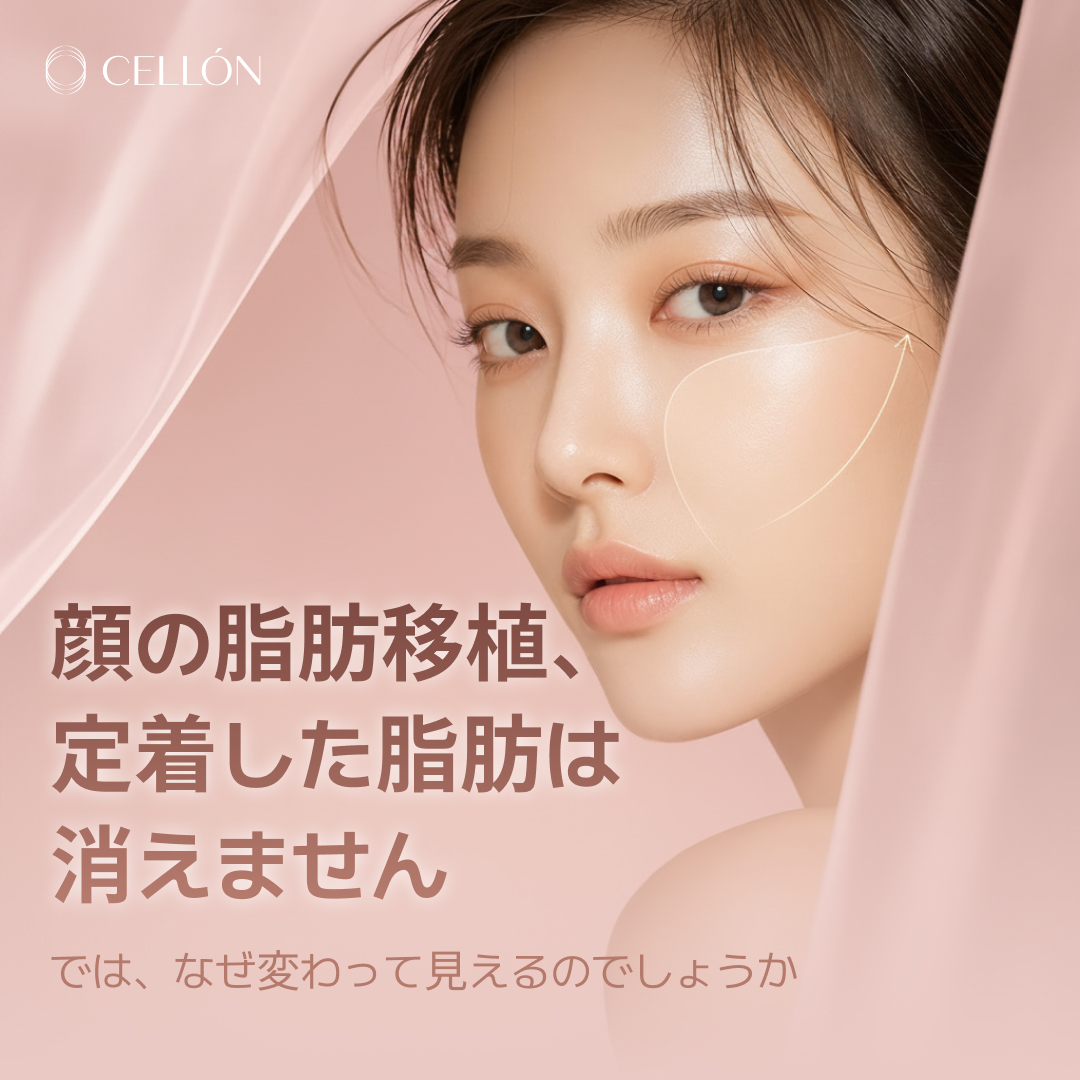 日本語 발행 이미지
