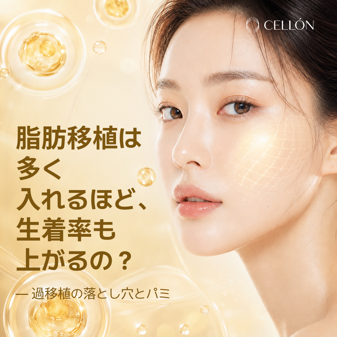 日本語 발행 이미지