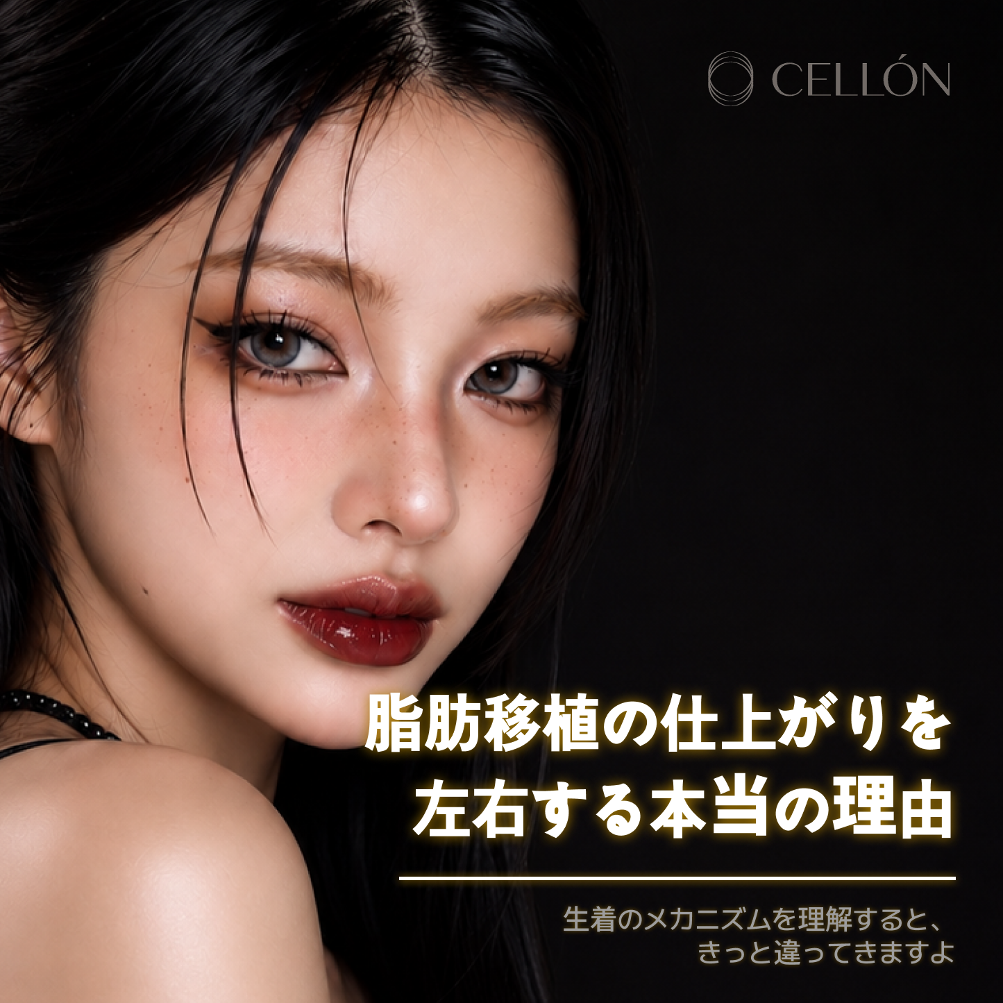 日本語 발행 이미지