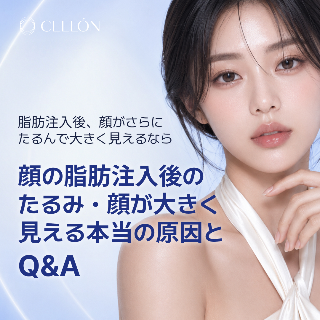 日本語 발행 이미지