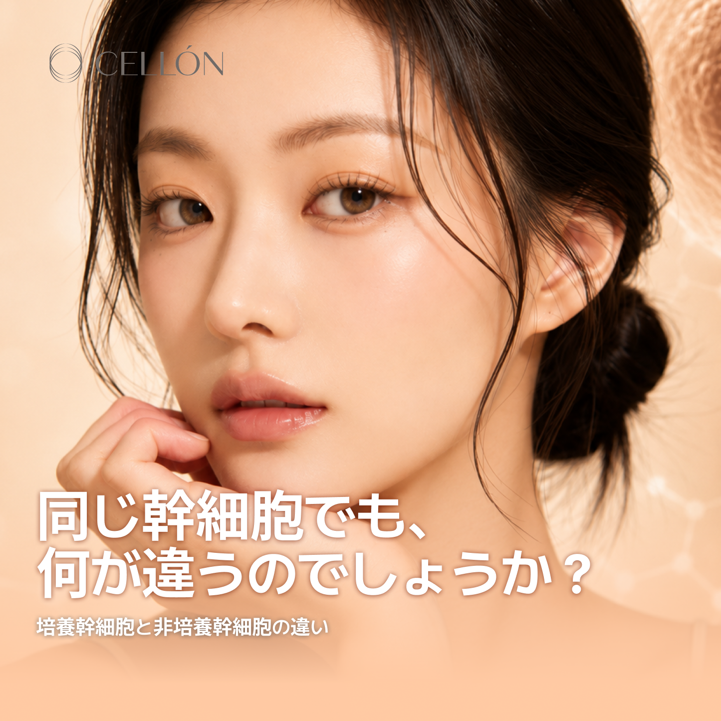 日本語 발행 이미지