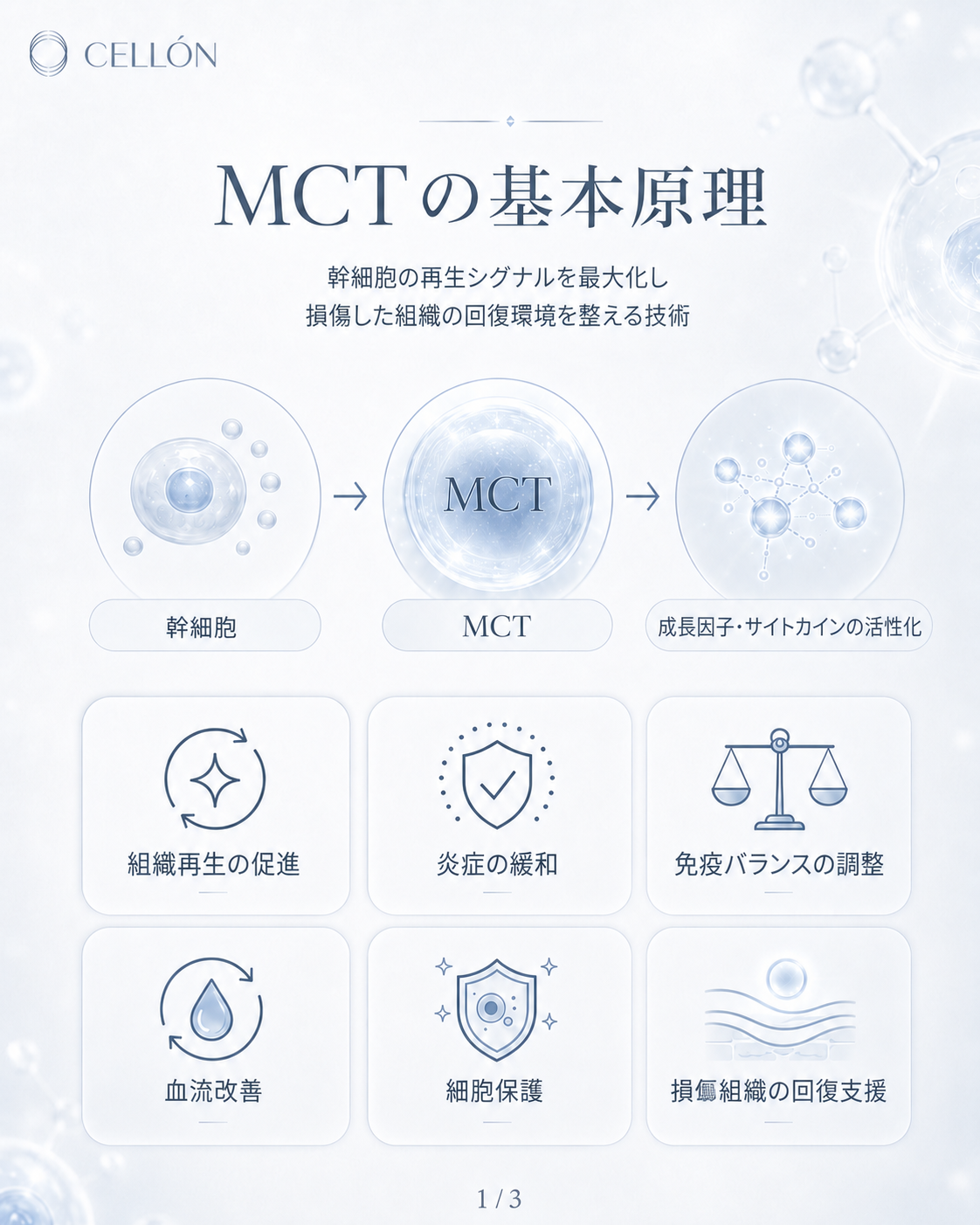 MCT メタセルテクノロジー、キム・カーダシアンも選んだ幹細胞再生トリートメント