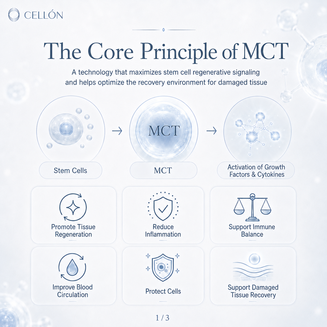 MCT Meta Cell Technology: The Stem Cell Regeneration Treatment Loved by Kim Kardashian