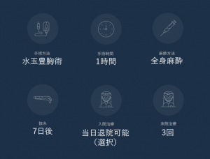 胸-水玉豊胸術